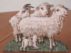 Guido Zibordi Marchesi presepe pecore