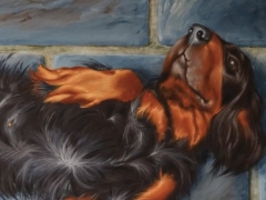 Guido Zibordi Marchesi cagnolina