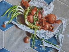 Guido Zibordi Marchesi cipolle sul pavimento