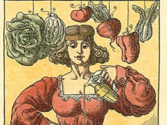 La temperanza (da “I tarocchi della cucina”)